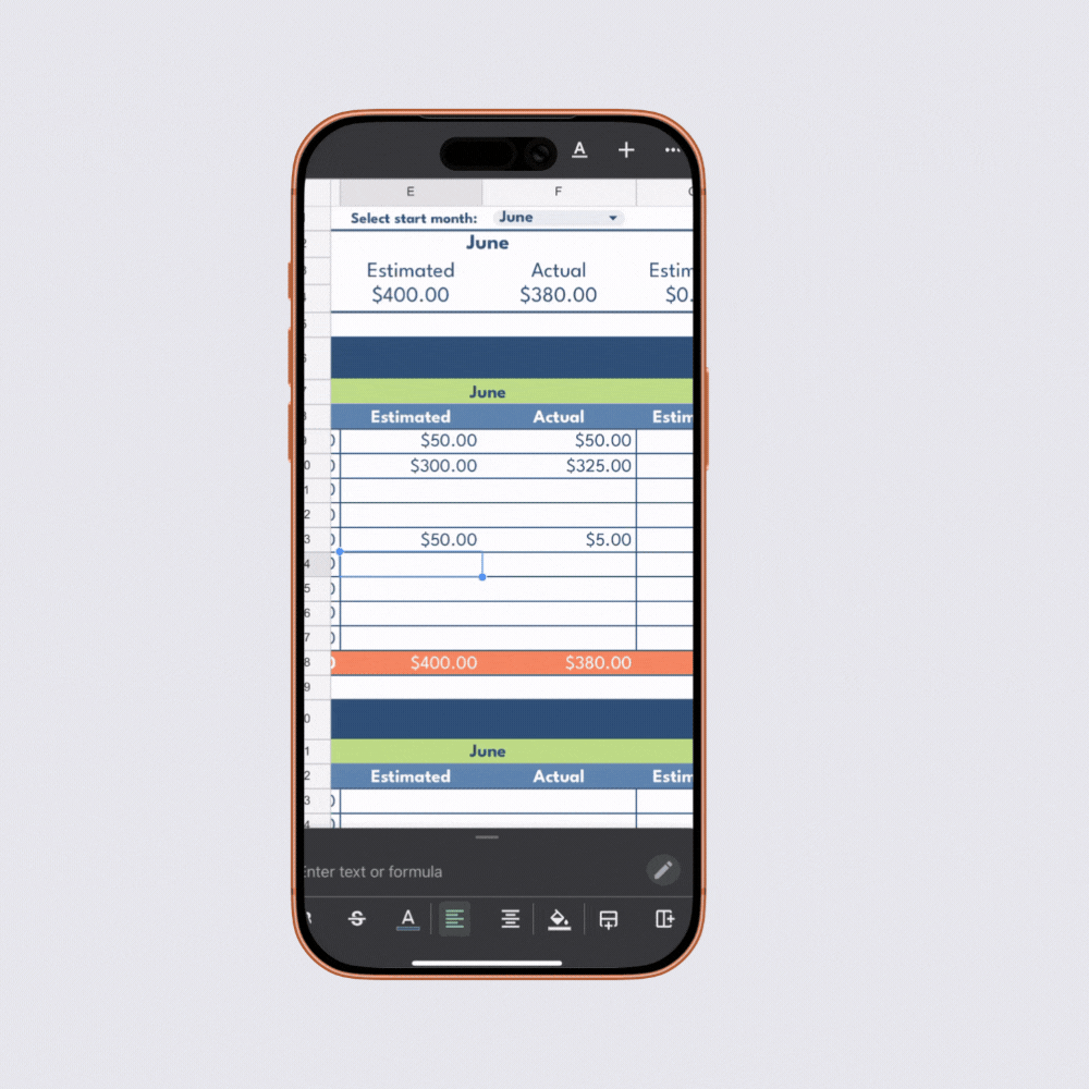My Sports Budget - Google Sheets Calculator